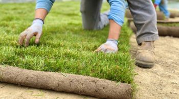 Schendel Lawn & Landscape technician installing sod