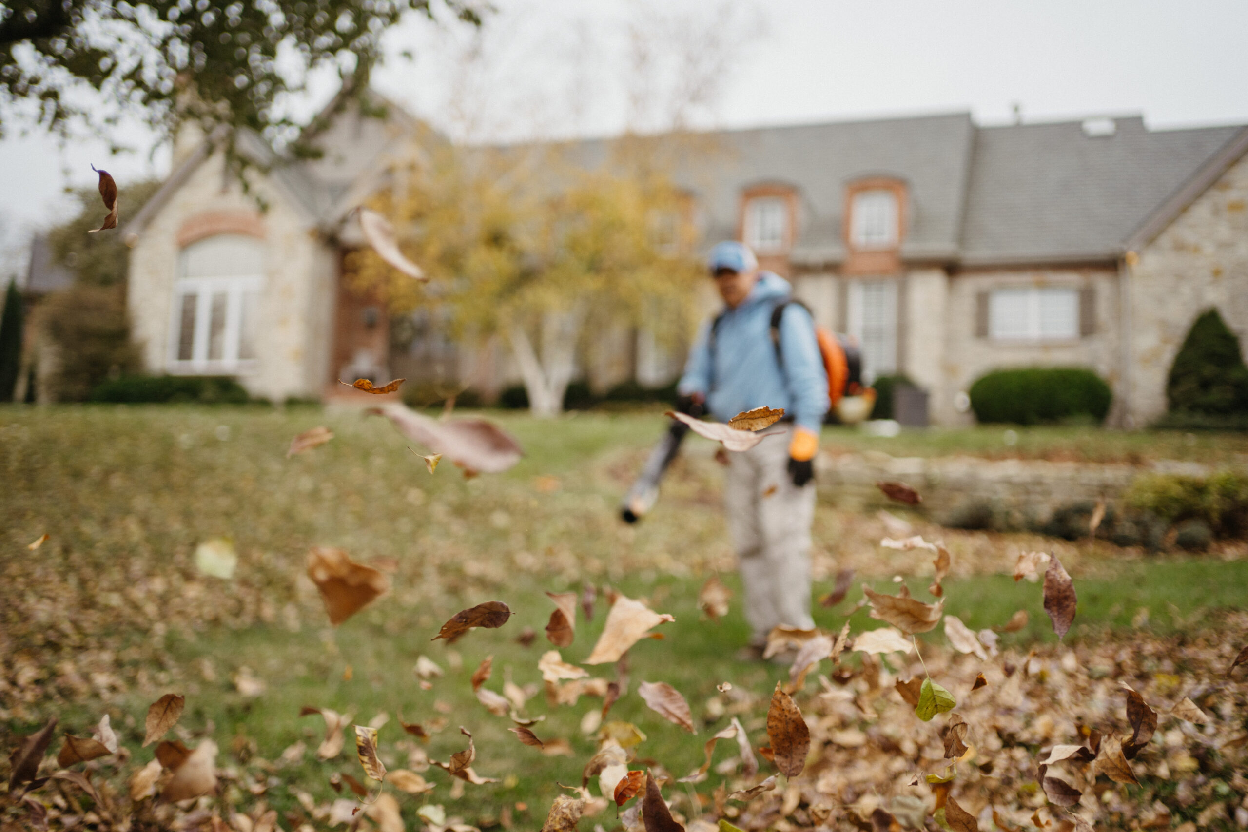 Why You Must Clean Up Your Lawn Before Winter Weather Hits