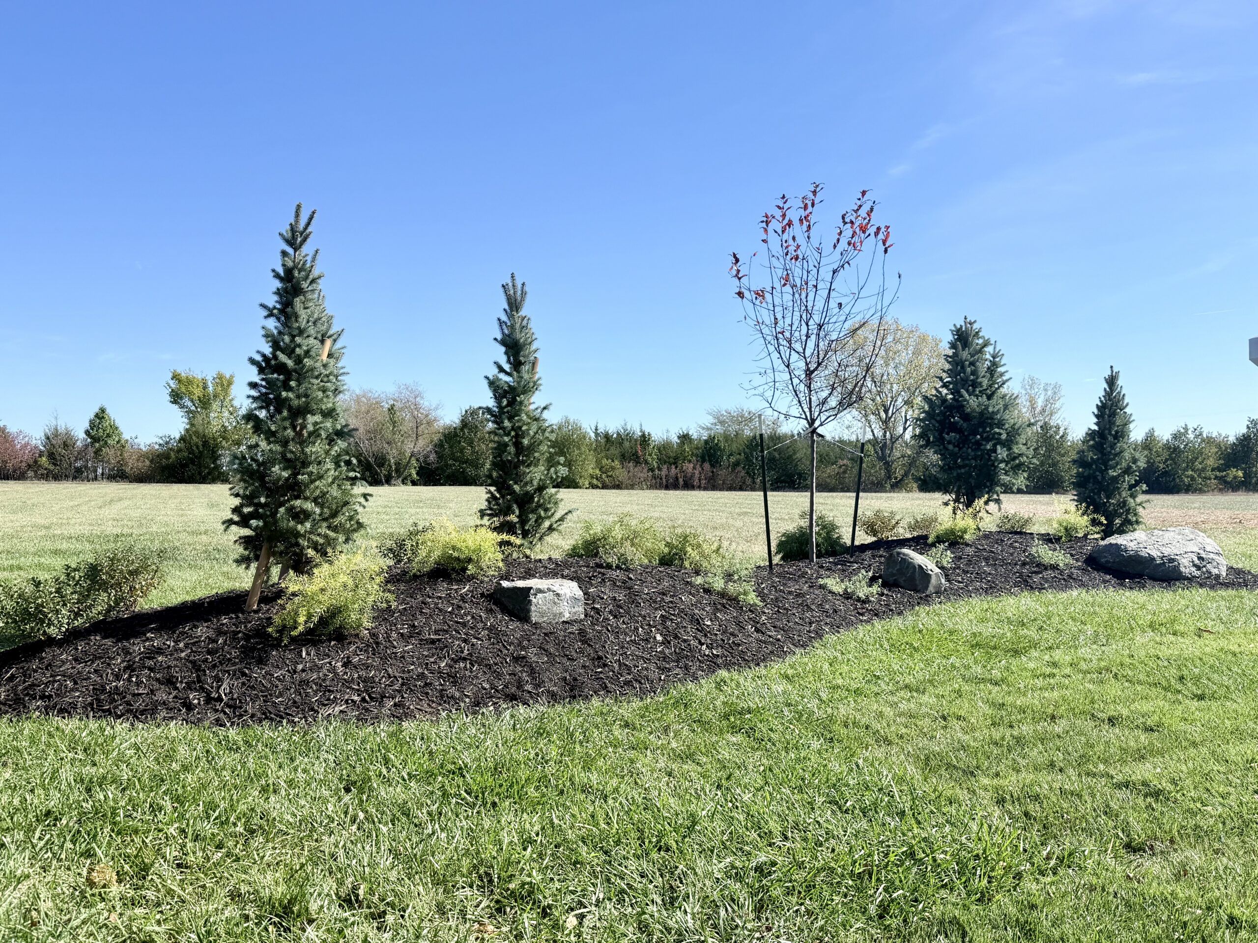 Why Spring is the Golden Window for Mulching in Kansas