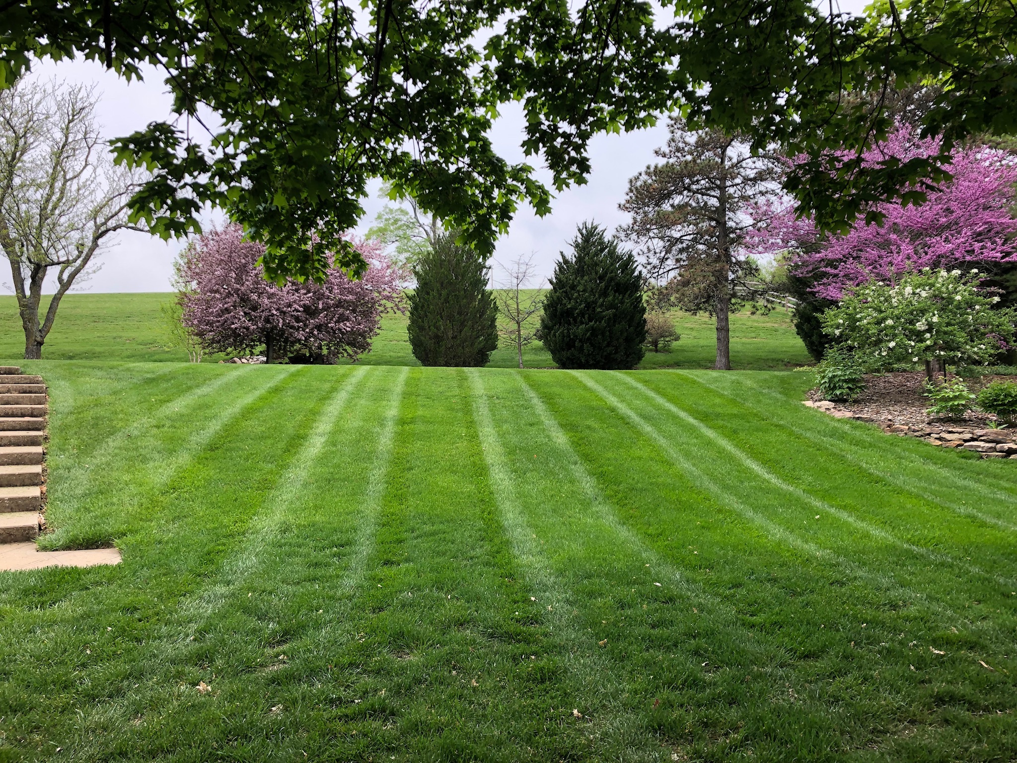 Expert Mowing Advice for a Thriving Lawn