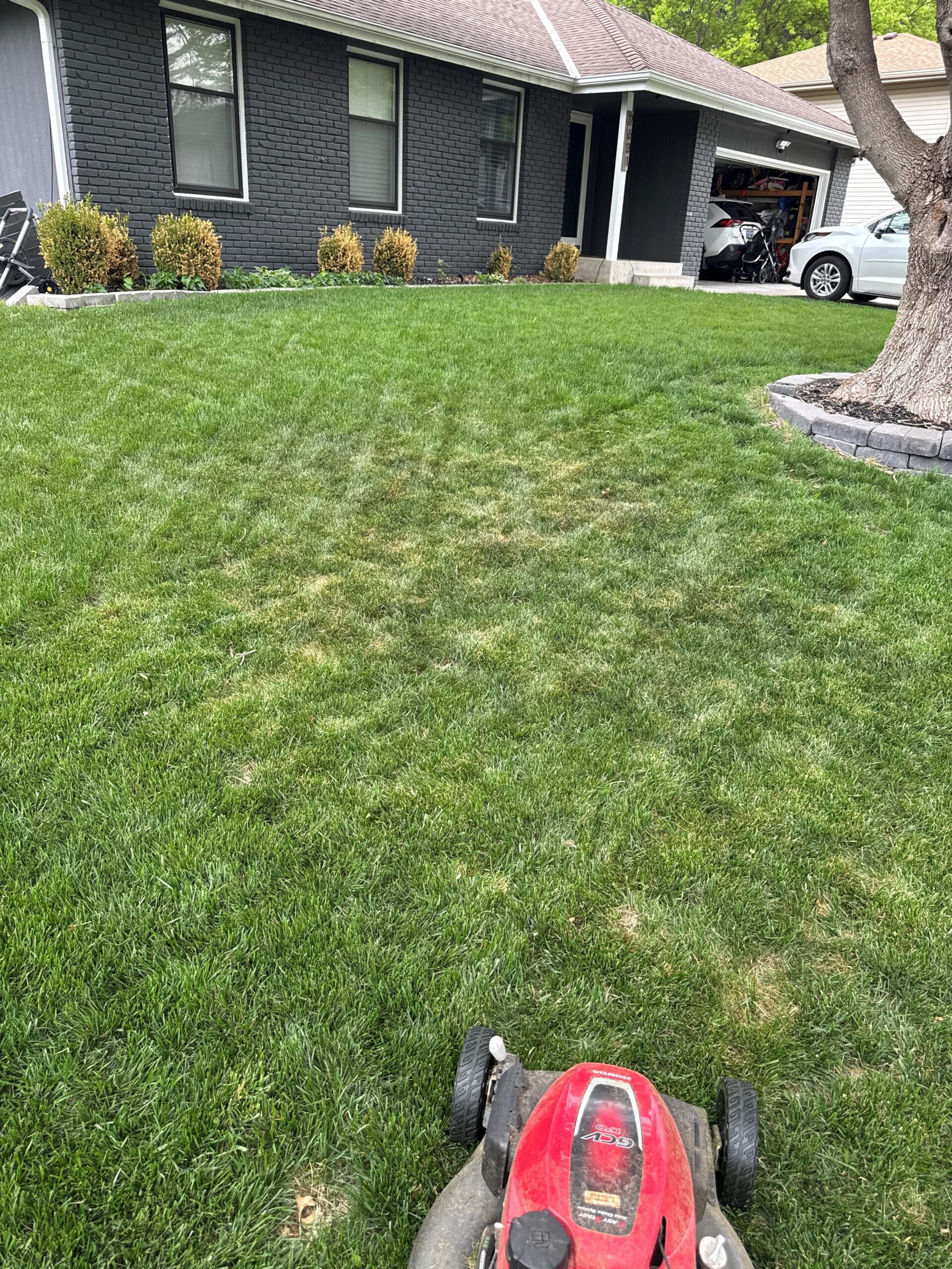 Fungus, Grubs, Bagworms & Armyworms: The Summer Damage Lineup